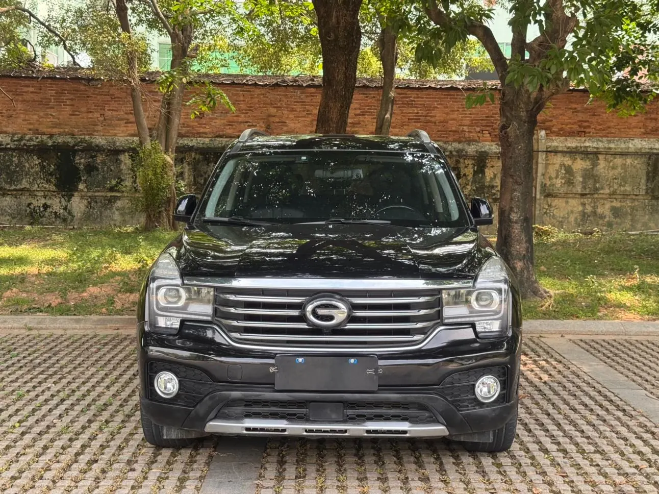 GAC Trumpchi GS8 2.0T photo 2