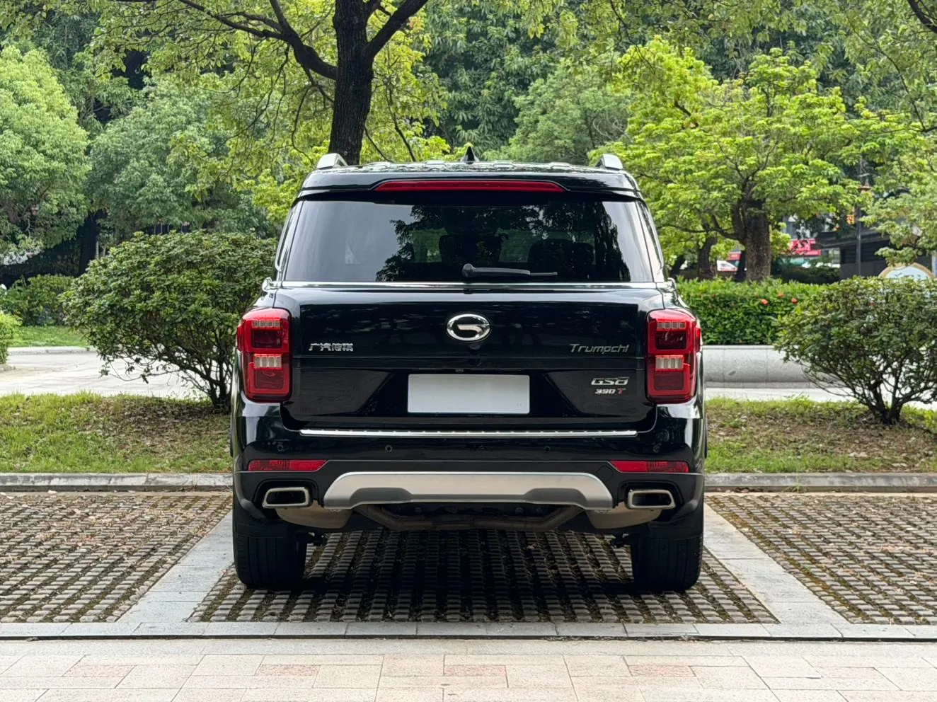 GAC Trumpchi GS82.0T photo 7