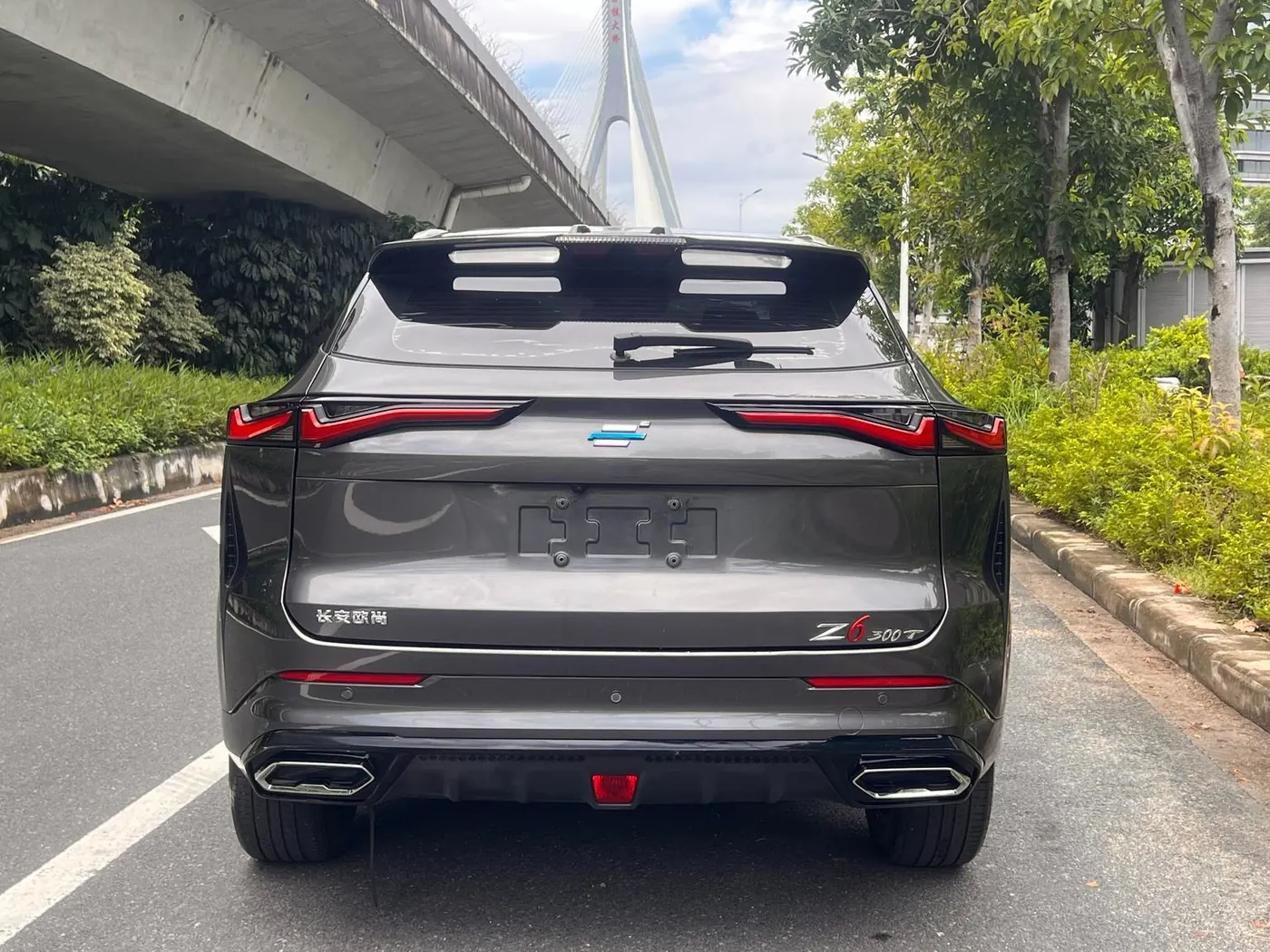 Changan OshanZ6 1.5T photo 4